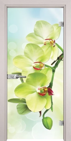 Стъклена врата Gama Print G 13-3 Green, Перла