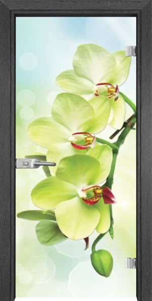 Стъклена врата Gama Print G 13-3 Green, Сив кестен