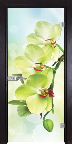 Стъклена врата Gama Print G 13-3 Green, Венге