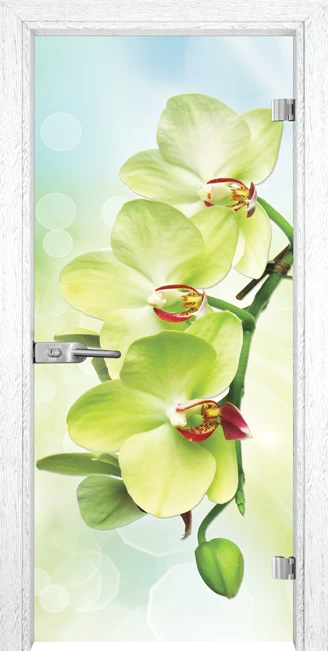 Стъклена врата Gama Print G 13-3 Green, Бреза