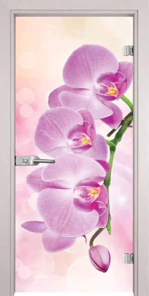 Стъклена врата Gama Print G 13-3 Pink, Перла