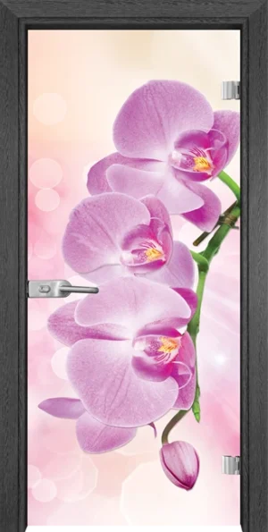 Стъклена врата Gama Print G 13-3 Pink, Сив кестен