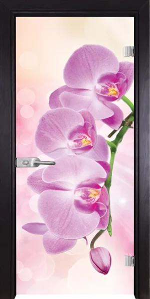 Стъклена врата Gama Print G 13-3 Pink, Венге