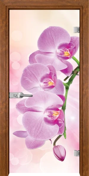 Стъклена врата Gama Print G 13-3 Pink, Златен дъб
