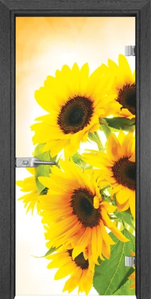 Стъклена врата Gama Print G 13-4, Сив кестен